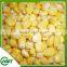 High Quality Frozen Sweet Corn