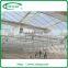 High Gutter and Roof Glass Greenhouse for Agriculture
