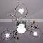Wholesale Decorative Hanging Modern Ceiling Lamp, Iron Ceiling Light