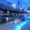 American DJ Inno Color Beam LED