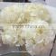 Weddings Decoration Wholesale Preserved Flower White Dried Hydrangea For Interior Decoration