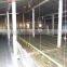 prefabricated light steel structue buildings/chicken sheds/houses
