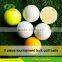 OEM high quality Urethane 2 / 3 piece golf ball                        
                                                Quality Choice
