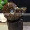 High quality natural ammonite fossils for gifts and decoration