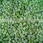 IQF frozen kiwi diced with good quality for sale