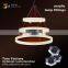 OEM Customized Energy-saving lamps Test Stands acrylic test tube display stand shelf