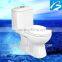 Water-saving Bathroom Siphonic Toilet