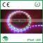 SMD5050 digital addressable rgb led strip 12V