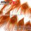 Leading Supplier CHINAZP Wholesale Best Quality Colored Orange Trimmed Short Peacock Feathers for Earrings