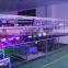Manufacturer 2W Full Color Animation Laser Light