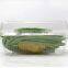 1600ml Disposable Clear Plastic Box for Vegetable