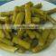 Chinese High Quality Canned Green Asparagus all cuts