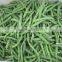 Fresh IQF green bean whole
