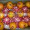 orange,Citrus