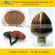 GMP Manufacturer Supply Reishi Mushroom Extract