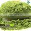 Organic Matcha /NOP Green Matcha Tea Powder OEM
