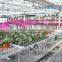 Polycarbonate Board Greenhouse