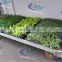 418 grow seedlings trolley