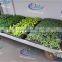 390 seed discharging Danish flower trolley