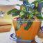 interior decorative pots