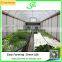 Plastic Arch Greenhouse for Sale