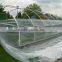 high quality greenhouse membrane with uv protection for vegetables and flowers