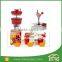 Manual Professional Fruit Smoothie Maker