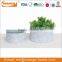 Latest Design Antique Galvanized Metal Pail