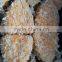 New produced breaded cod fish frozen products for export