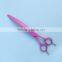 CA-70JP 7inch opposing handle downward curved pet grooming shear