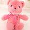 Small Plush Bear 25cm Toy