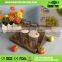 2015 good quality magnetic spice rack 6 pcs