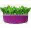 Grow Bags for Plants 10 gallon 15 gallon