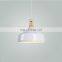 Modern Contracted Home Lighting Interior Design Aluminum Pendant Lamp