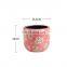 Novelty vintage style small succulent plants pink ceramic outdoor garden flower pots for indoor decor