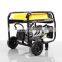 BISON China Find Champion Hot Sale Portable 5KW Generator from China