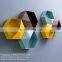 Colorful hexagonal flowerpot kindergarten wall freshener and shop wall decoration