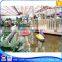 water park fun sports equipment