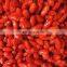 Sinocharm New Crop BRC A Approved Nutrient-rich IQF Goji Berry Frozen Fresh Goji