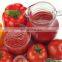 Tomato sauce production line/equipment