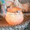 Miniature Glass Tealight Holder With Wire Hanger/Hanging Glass Ball For Home & Garden