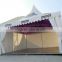 Hot selling tent mushroom with high quality