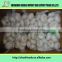 Chinese bottled garlic chinese garlic/wholesale red garlic/fresh garlic Garlic