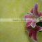 Elegant in smell crazy selling pink lilies flowers