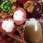 Factory products mangosteen rind powder 10% - 90%