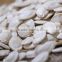 cashew nuts Shine Skin Pumpkin Seeds wholesale