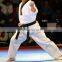 Hot sale custom design adult taekwondo uniform