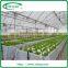 Nutrient Film Hydroponics System Greenhouse