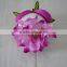 novelty big cabbage shape rose heads flower for Russia market