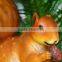 Fake squirrel with resin material